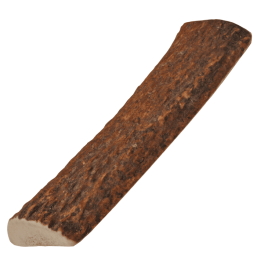 Natural Elk Antlers Sliced small