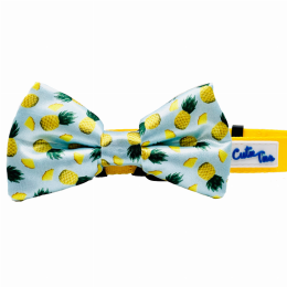 Cutie Ties Dog Bow Tie (Color: Tropic Like It's Hot)