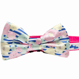 Cutie Ties Dog Bow Tie (Color: Preppy Pet)