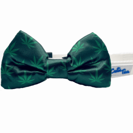 Cutie Ties Dog Bow Tie (Color: Mary Jane)