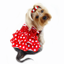 Sparkling Bow Ruffle Layered Dress (Color: )
