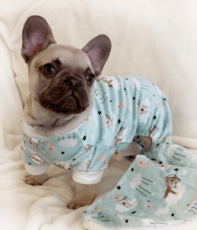 Ultra Soft Plush Minky Bedtime Bears Pajamas (Color: Green)