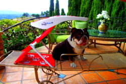 ShadyPaws Canopies (Color: Jockey red)