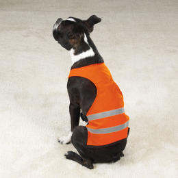 GG Safety Vest (Color: Orange)