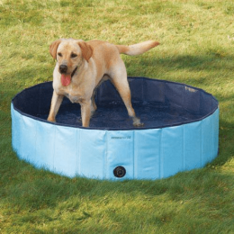 Cool Pup Splash About Dog Pool (Color: Blue)