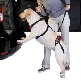 Total Pet Health Lift & Go Lead (Color: Red)