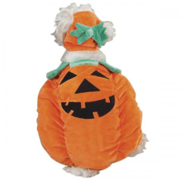 Zack & Zoey Pumpkin Pooch Costume (Color: Orange)