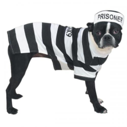 Casual Canine Prison Pooch Costume (Color: )