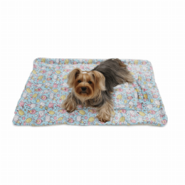 Ultra Soft Minky/Plush Blanket (Color: Light Blue)