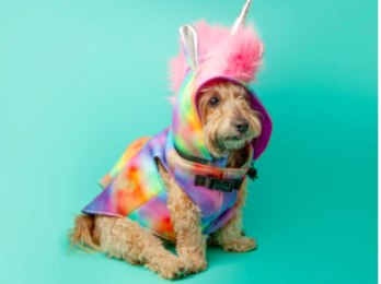 Unicorn Hoodie Dog Jacket with Backpack - Limited Edition - Waterproof (Color: Multi)